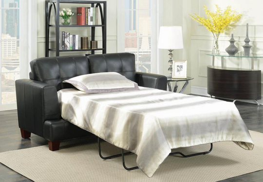 Montbrook Sleeper LOVESEAT bed